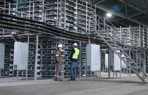 Large-scale mining farm hosting multiple miners