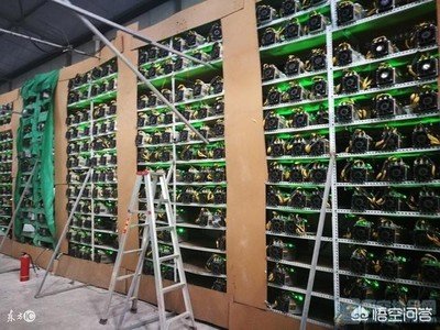A mining farm bustling with activity