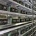 Large scale mining farm with numerous machines