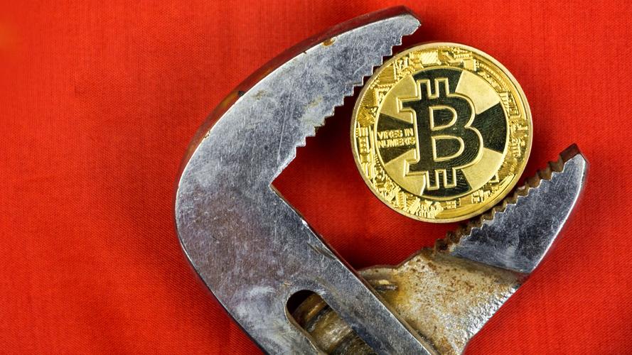 Bitcoin mining farm with operational rigs