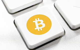 A detailed visualization of Bitcoin mining operations, highlighting the intricate network of blocks and transactions that drive profitability in 2025